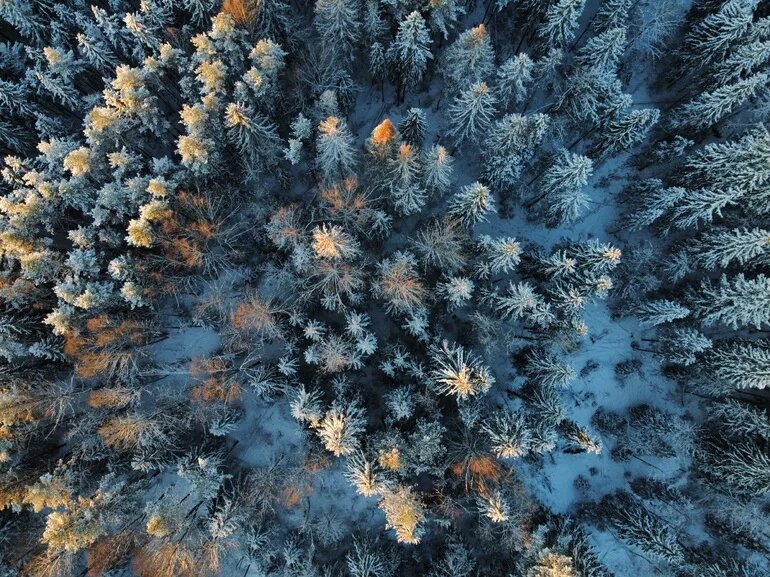    Фото: abn.agency