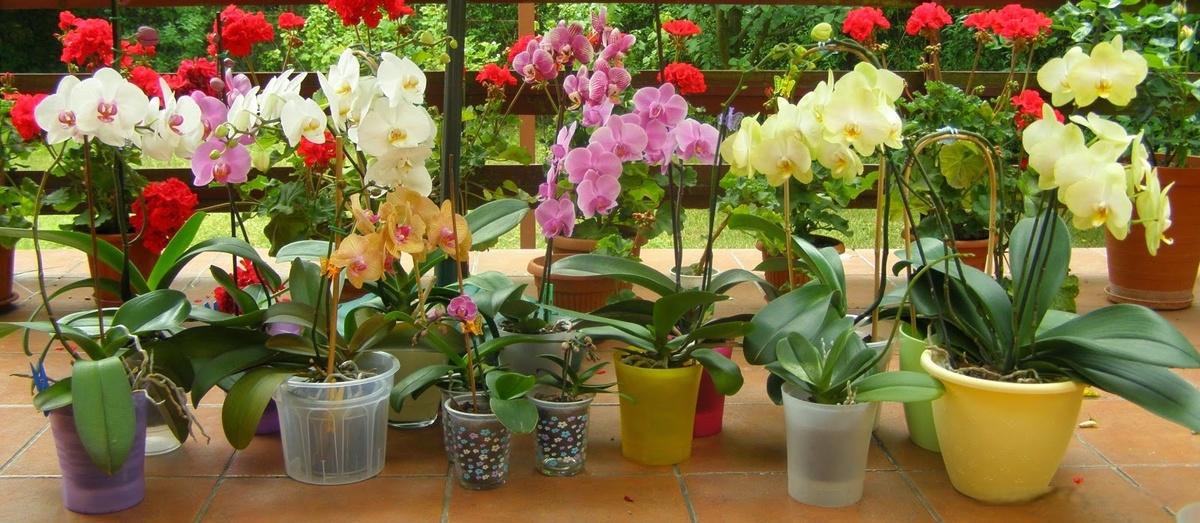 Моя коллекция. Вдали от города