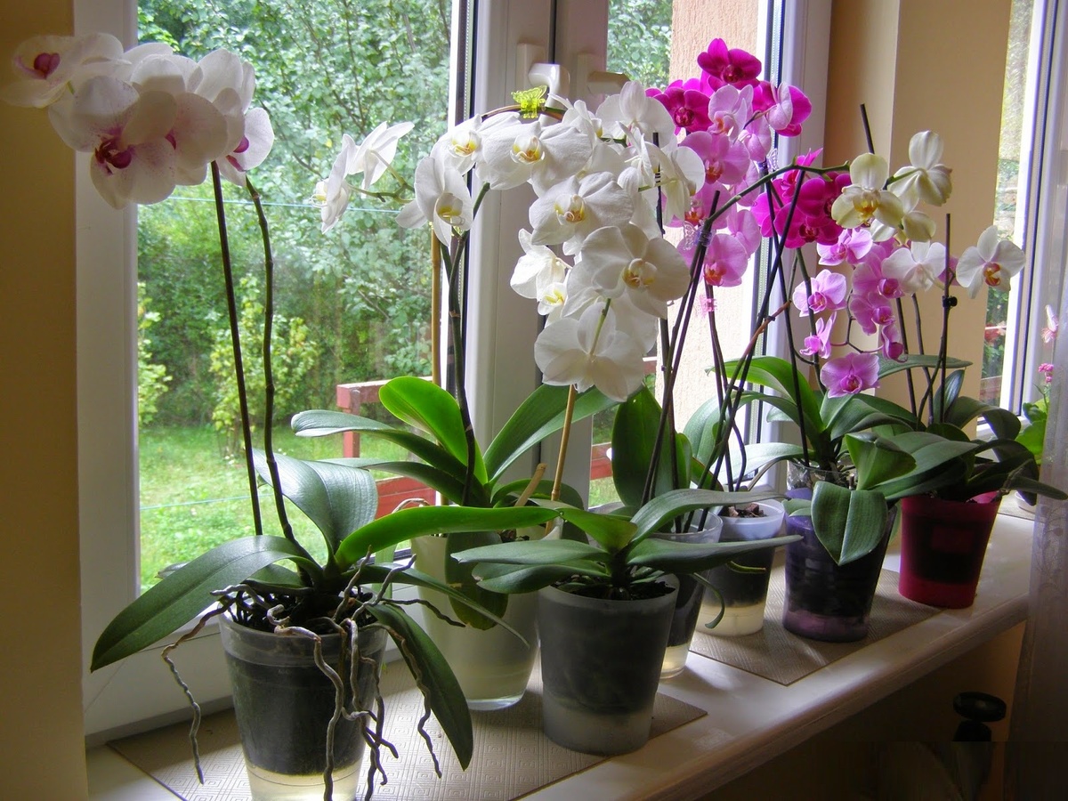 Моя коллекция. Вдали от города