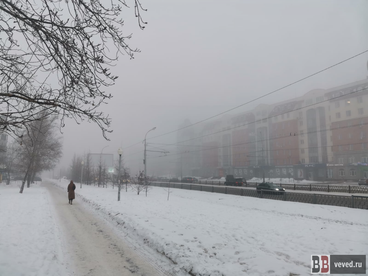     Фото: Алексей Медведев