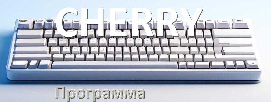 
Программа для клавиатуры CHERRY для настройки макросов и подсветки в Windows 11 и 10