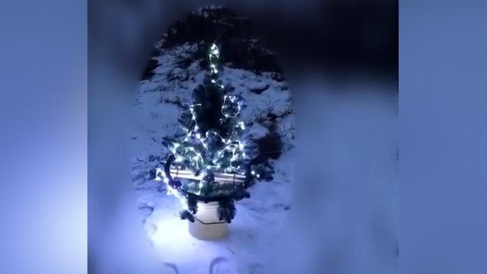 Обложка © Telegram / Операция Z: Военкоры Русской Весны