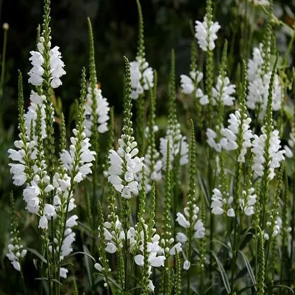 Фото из интернета в качестве "ожидание"