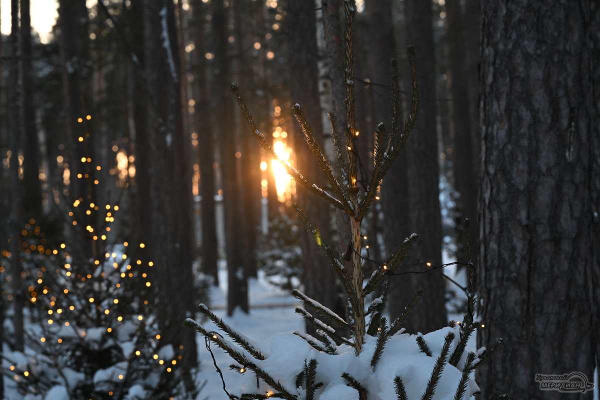    Фото: Анастасия Сибирякова © ИА «Уральский меридиан»