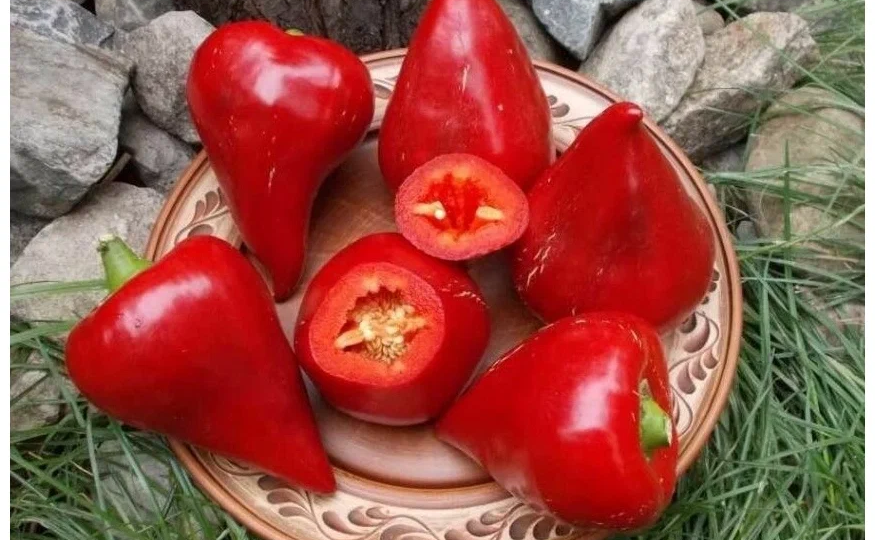 5 сортов сладкого перца нового поколения - красивые и урожайные