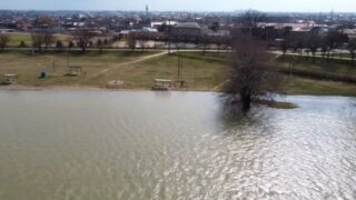    скриншот с видео Юлия Виноградова