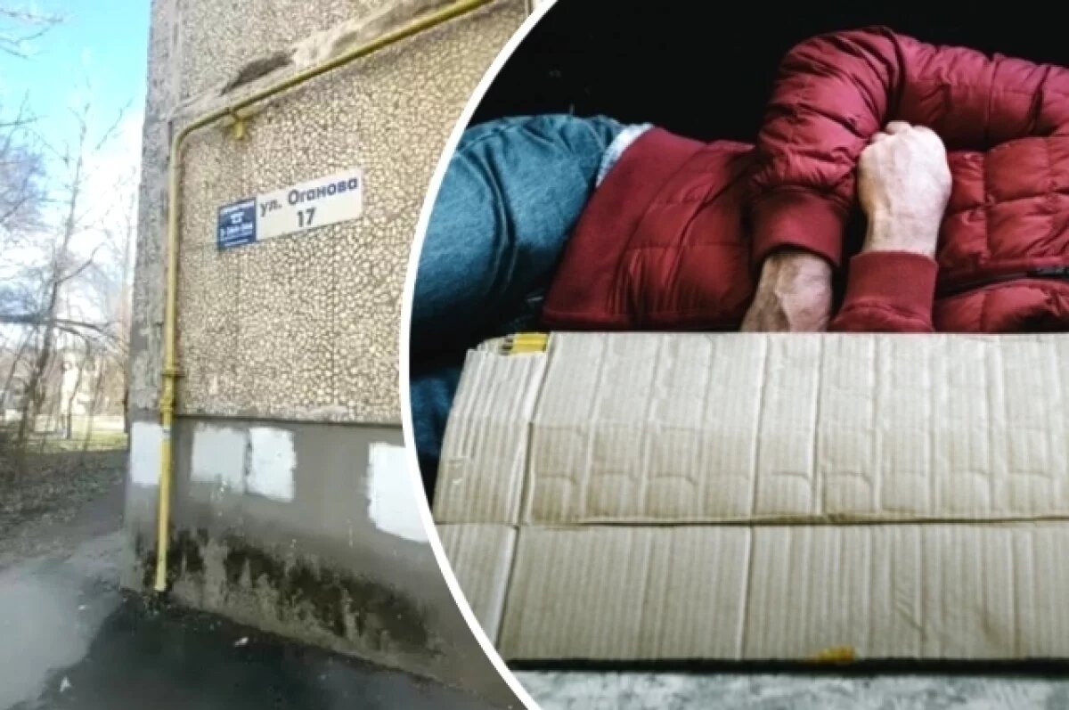    Хозяйка в шоке.