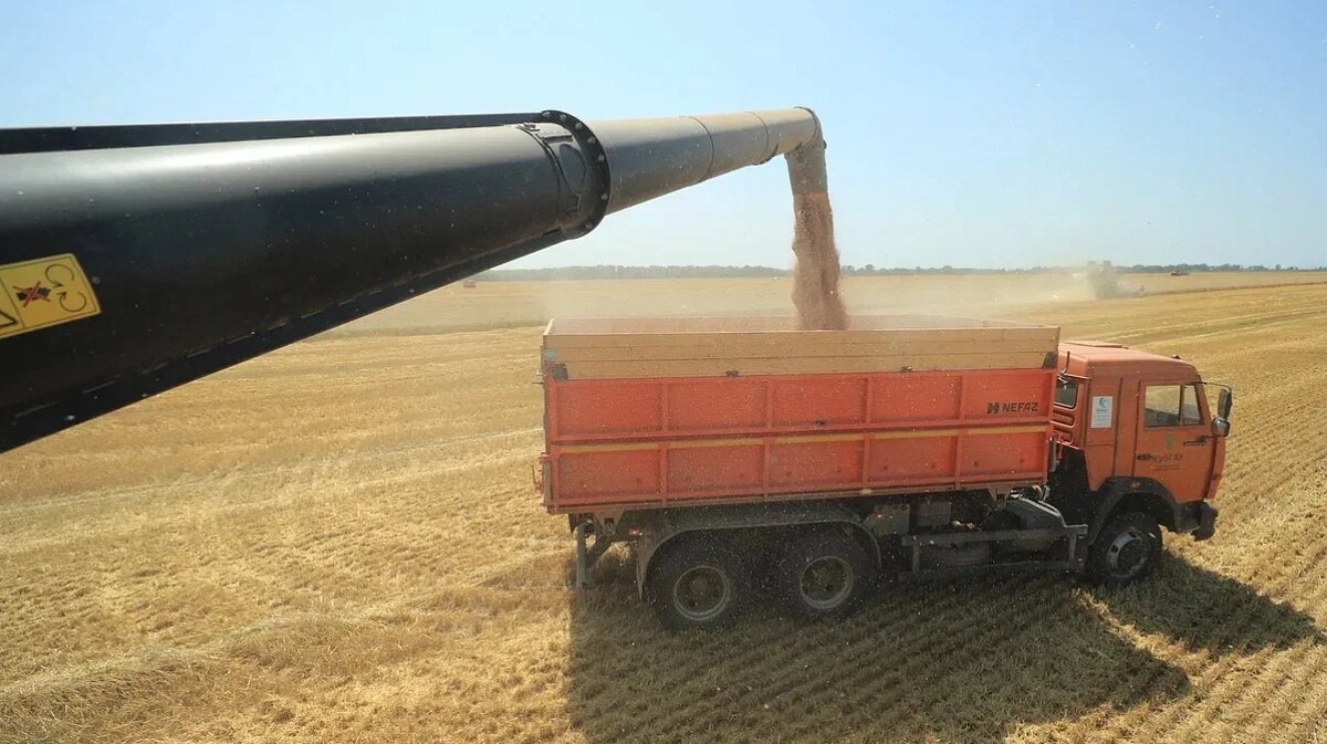     Фото: Пресс-служба администрации Краснодара