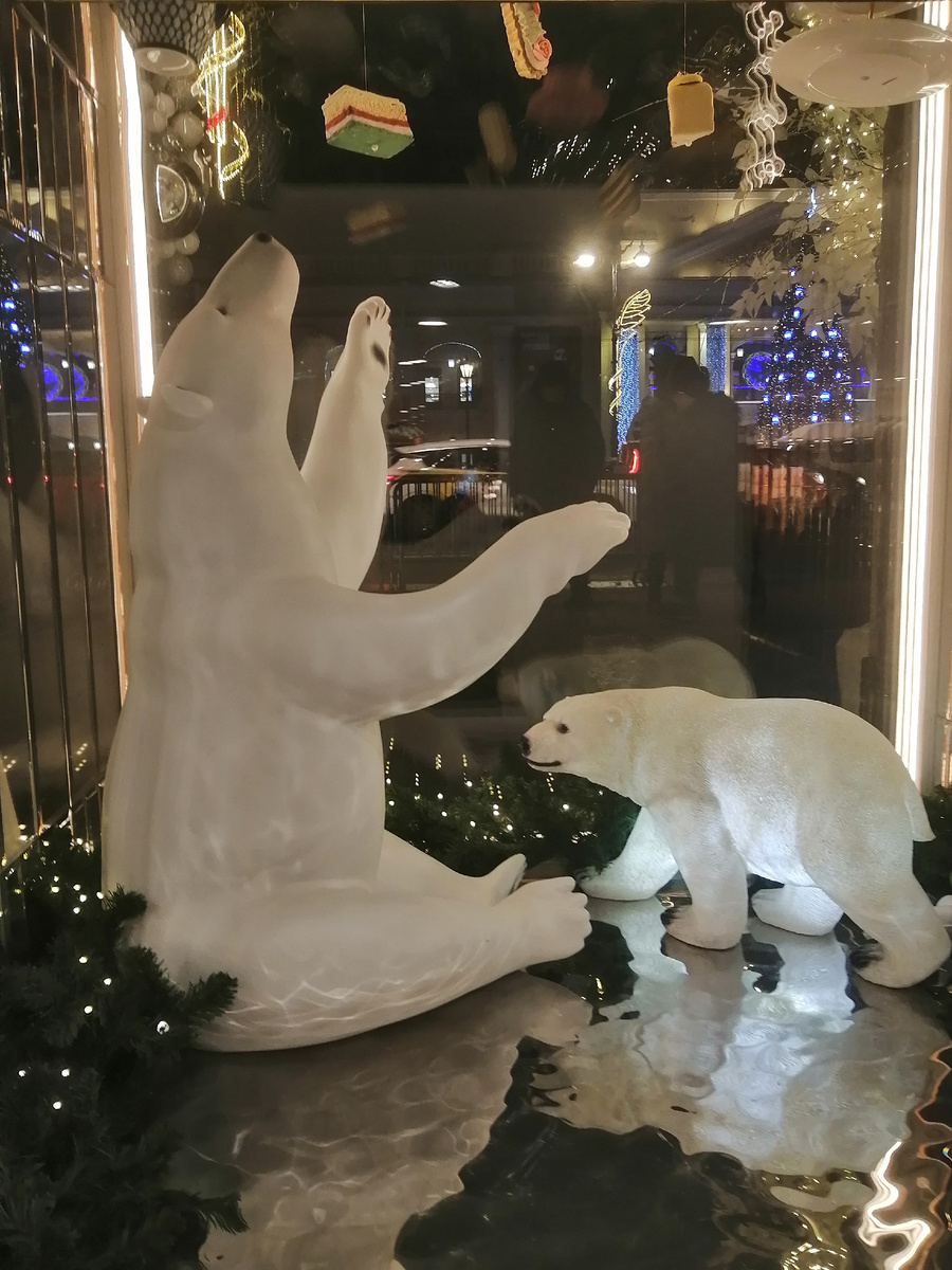 Знаменитые медведи.