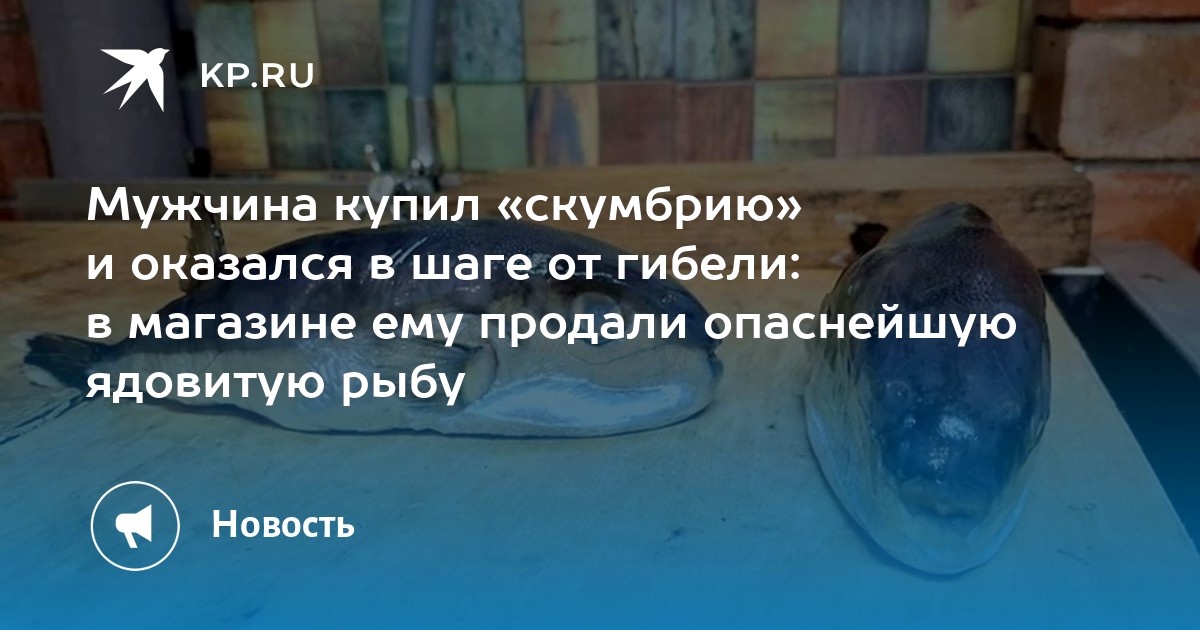 Отравленная скумбрия