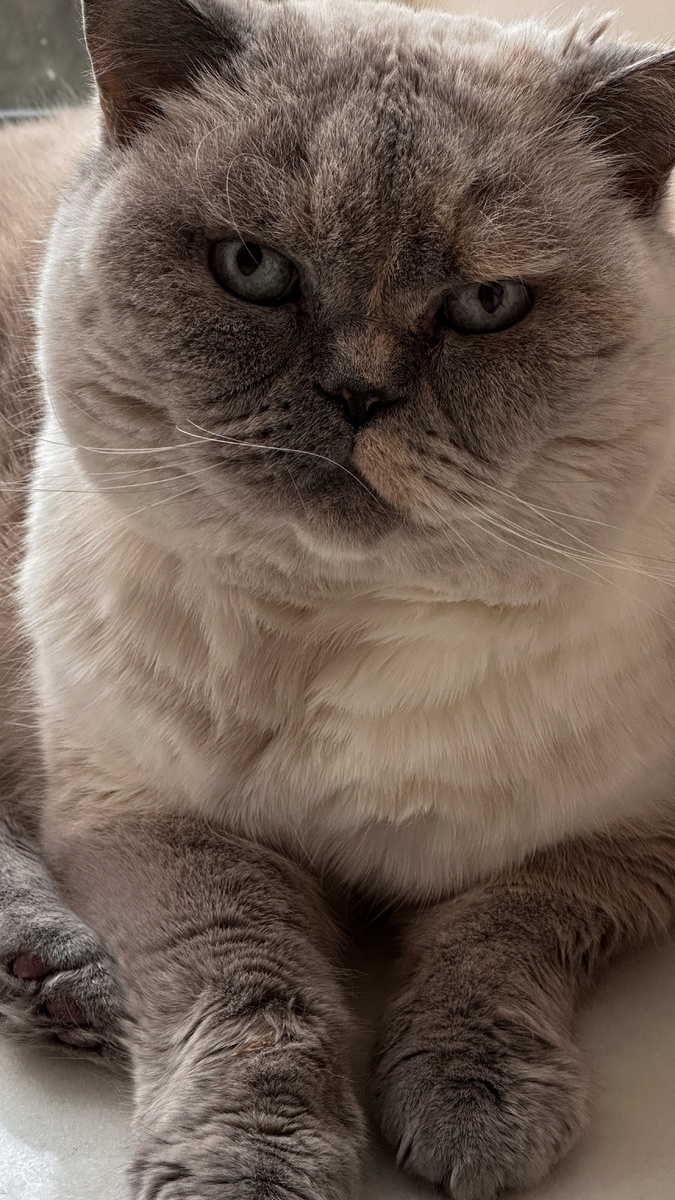 Риточка сидит #1