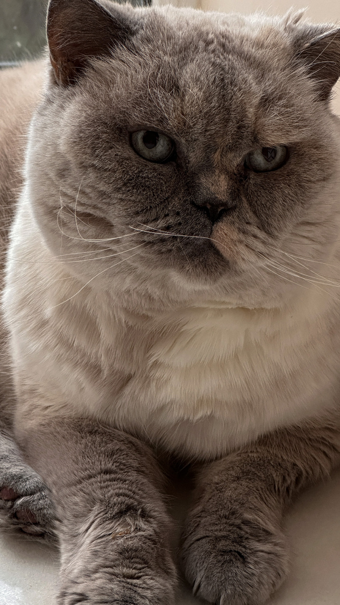 Риточка сидит #2