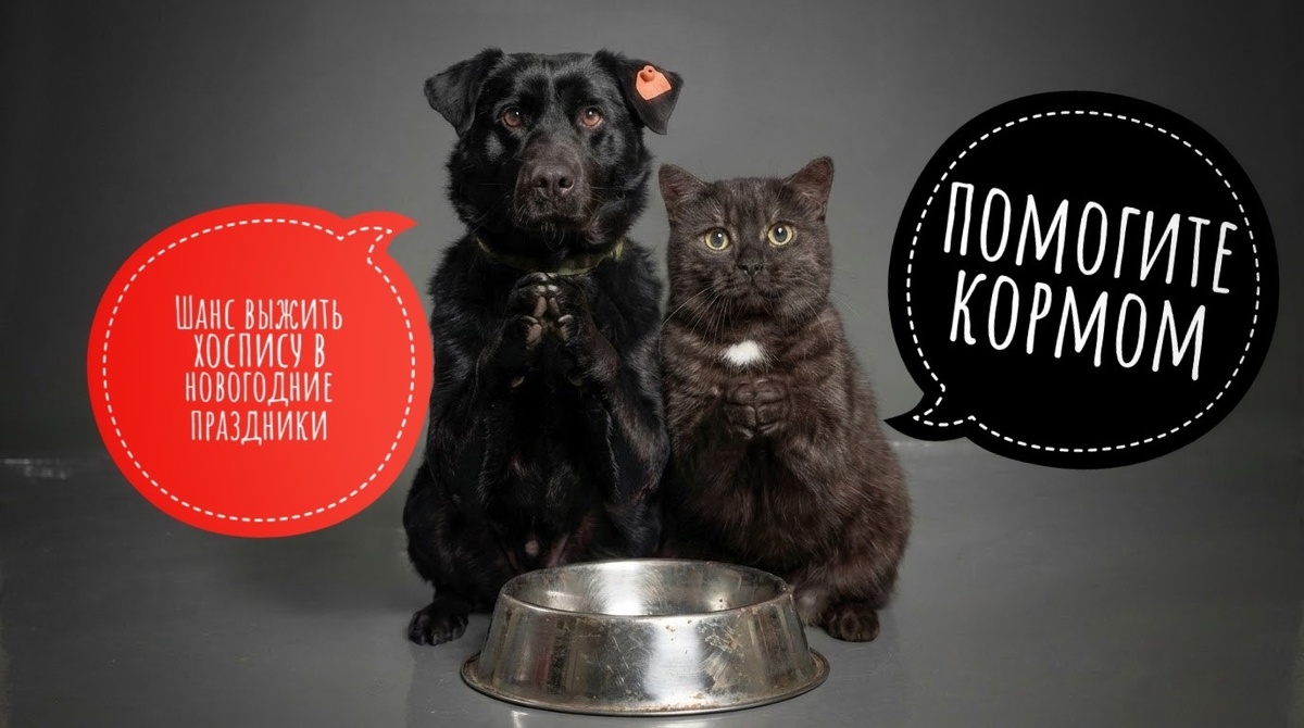 Страна доедает салаты, а собаки досасывают последнюю кость...