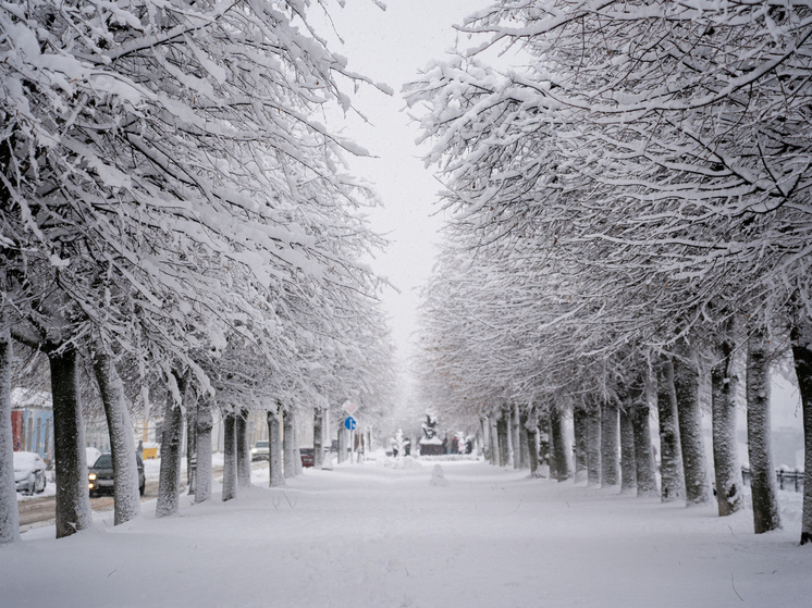   Андрей Зубов