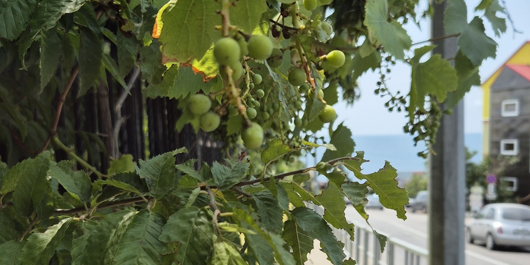 Летние фото и видео. Черное море. ч2