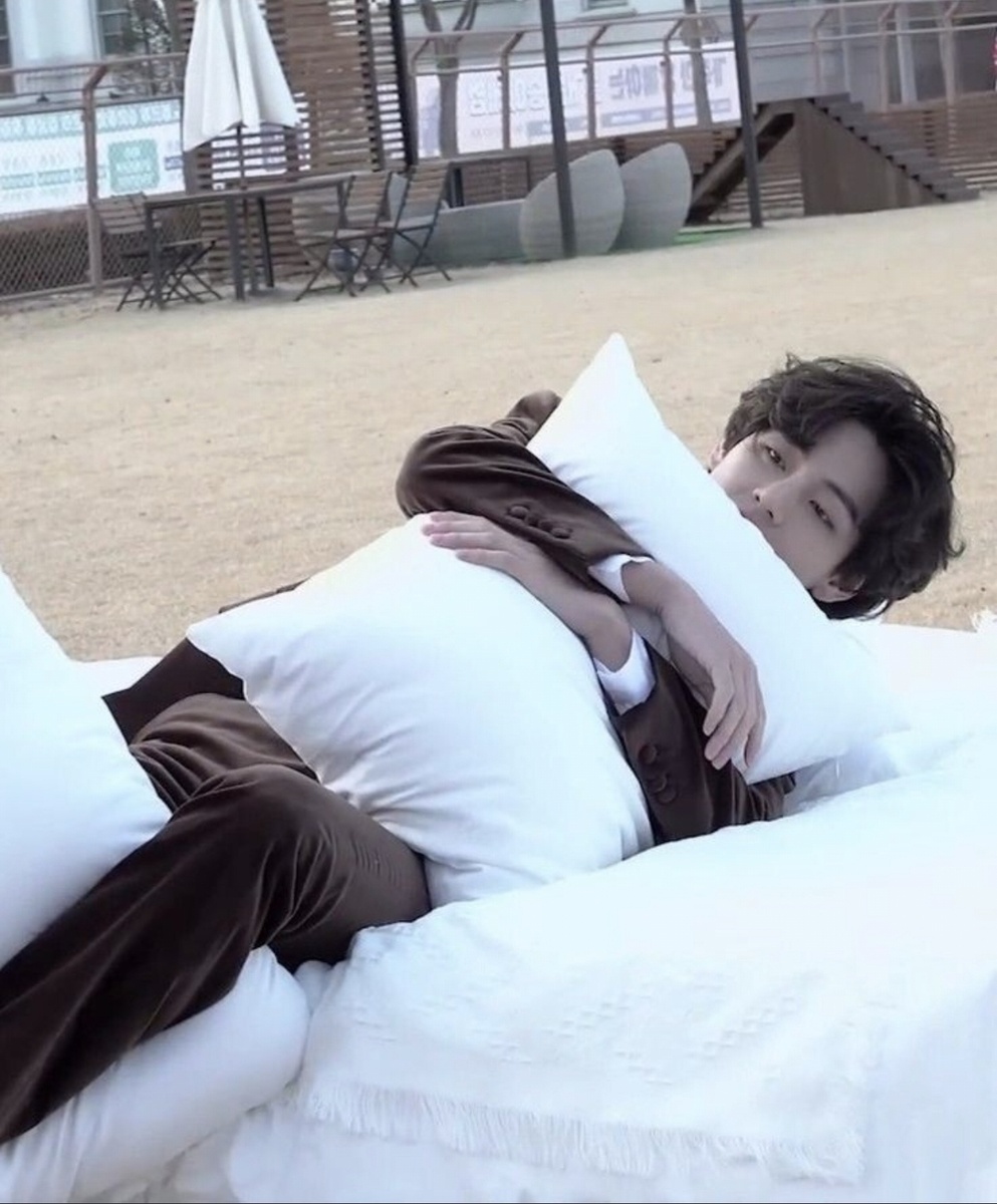 Ким Тэхён из BTS - король подушек.