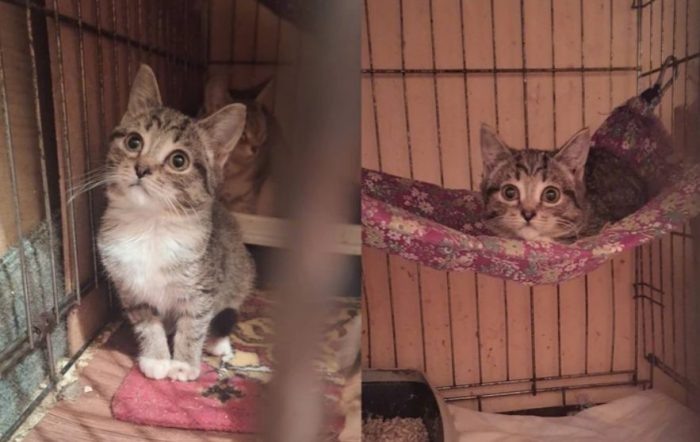 Фото «КП-Новосибирск».