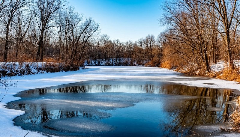    Шедеврум Екатерина Молчанова