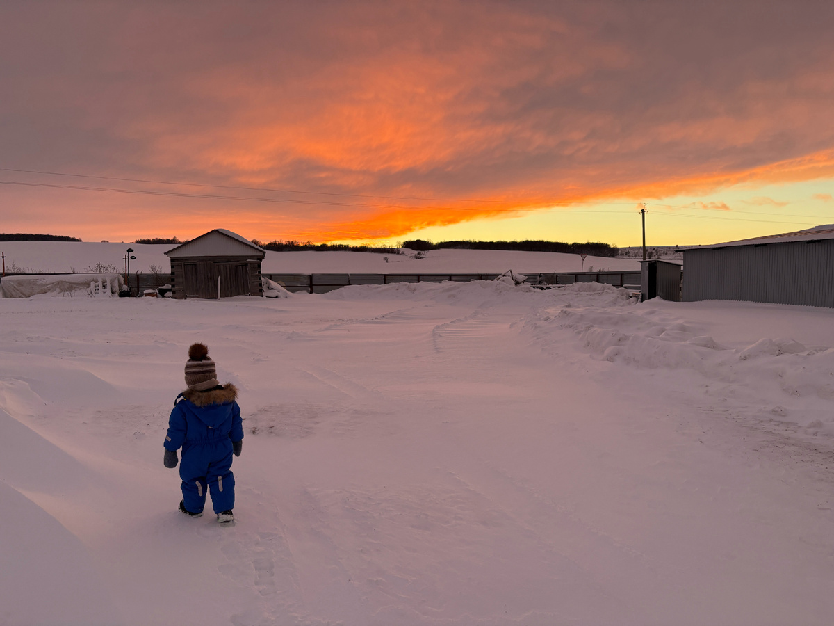 Это мы на прогулке вечером 31 декабря