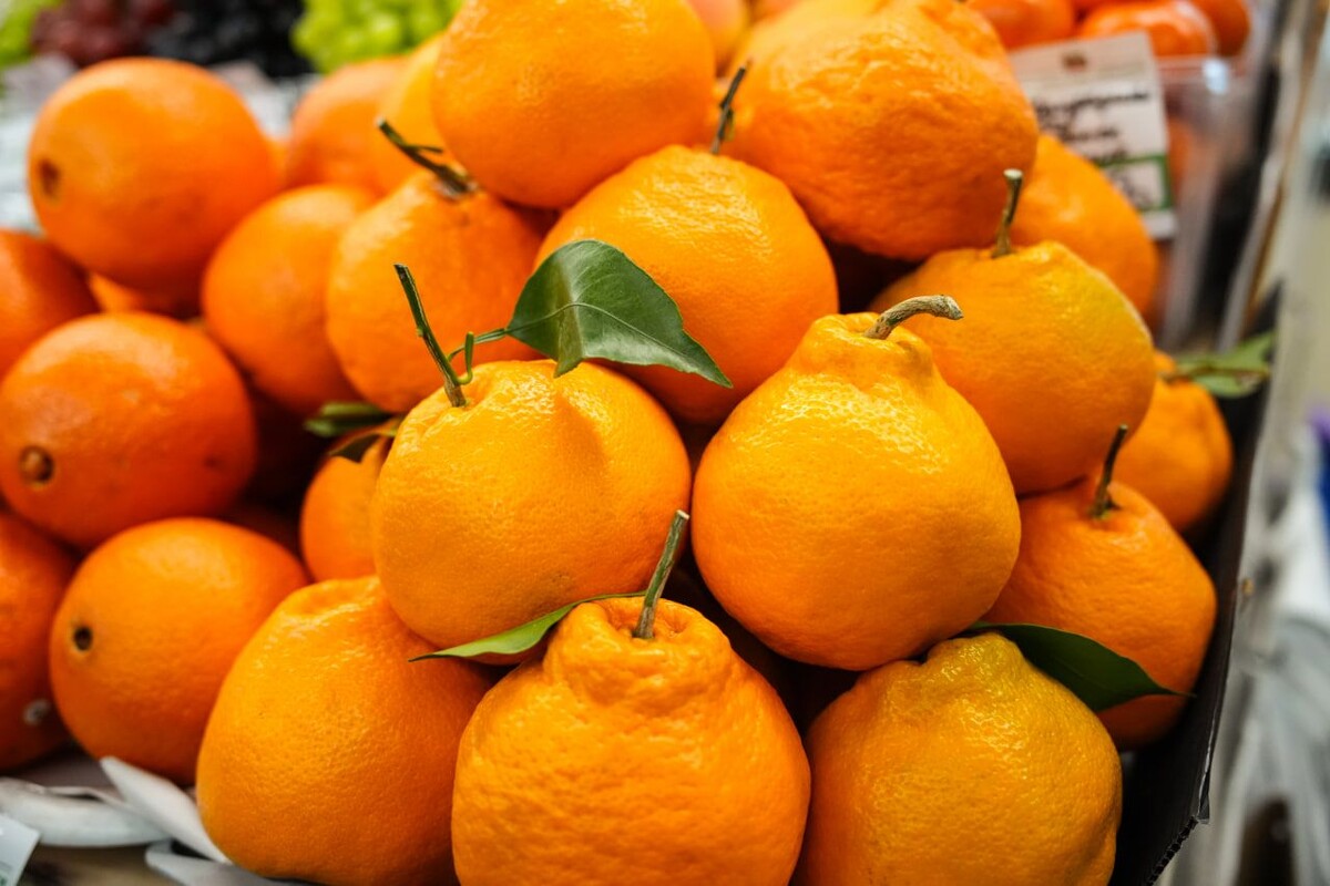     / Источник: © ИЗВЕСТИЯ/Сергей Лантюхов