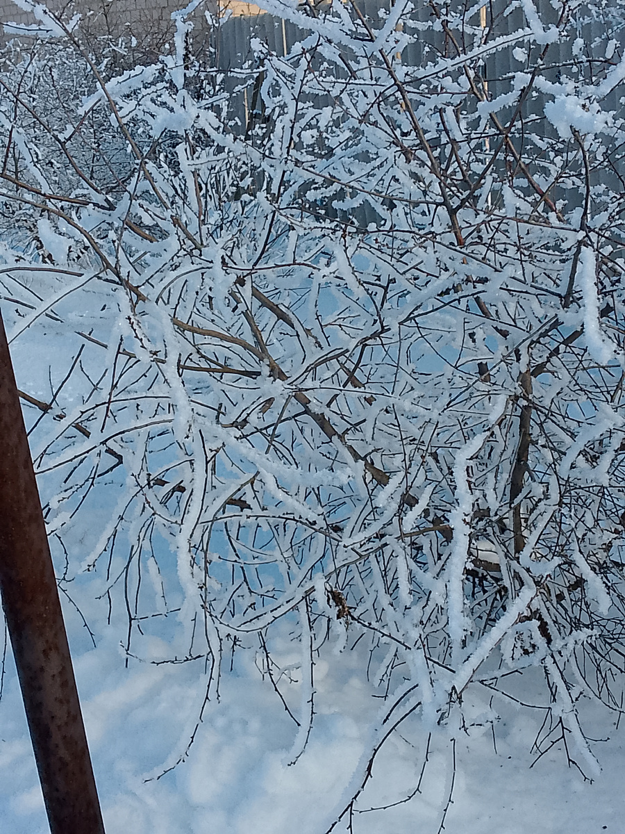 Все в снегу.