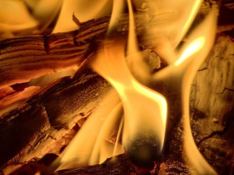     Фото из архива "МК в Мурманске"