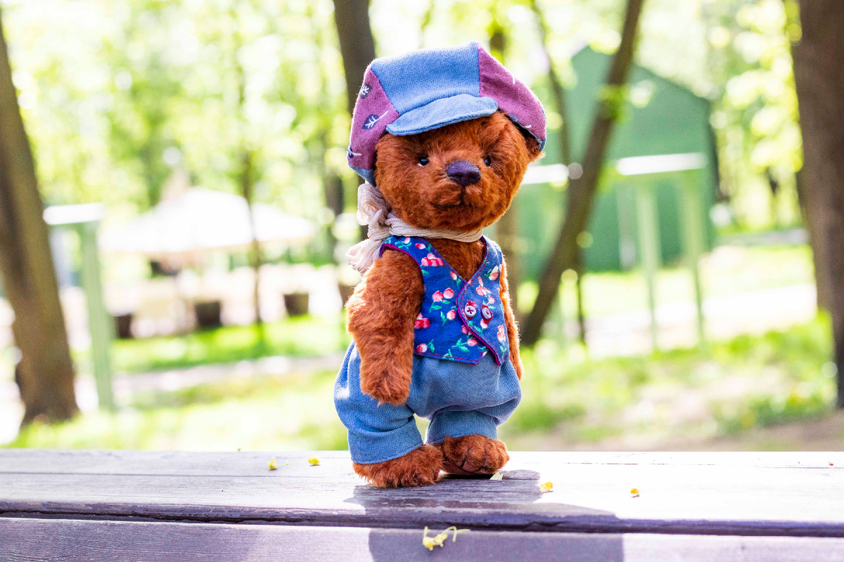 Мишка тедди Димка