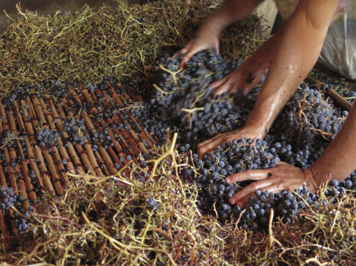 Бамбуковый гребнеотделитель Заранда