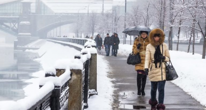    Фото: mos.ru Алена Мищенко