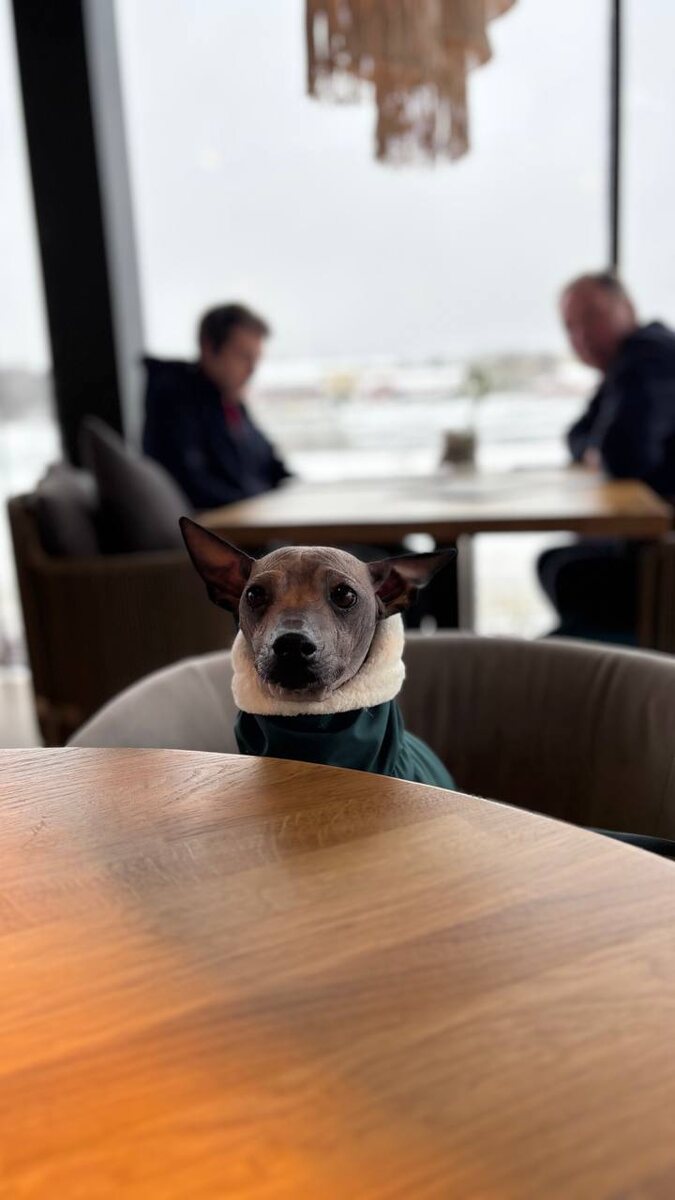 У нас всегда с собой специальная подстилка для таких мест.