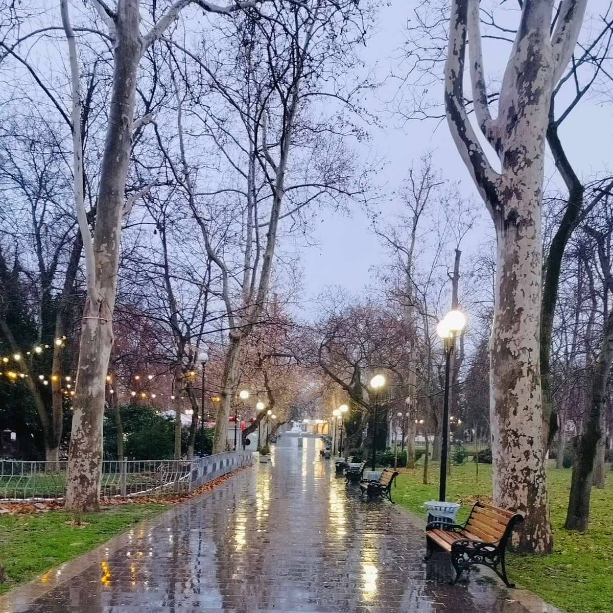 В Севастополе снова дожди 