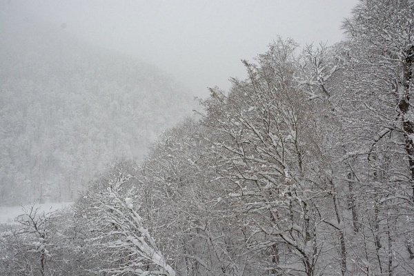 В Сочи прогнозируется лавинная опасность