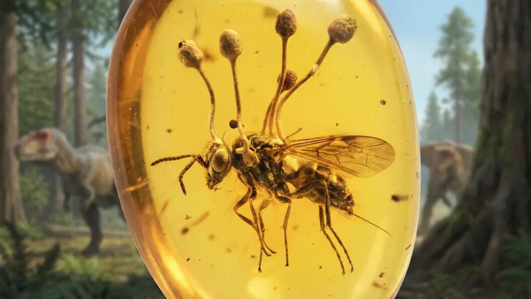    Коллаж "Царьграда"