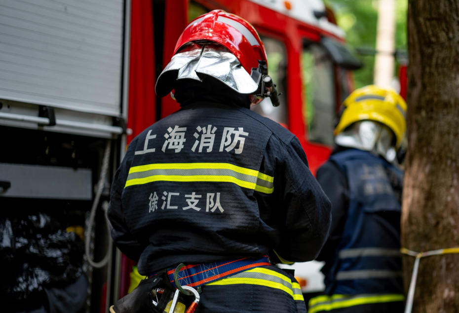    Shutterstock/FOTODOM