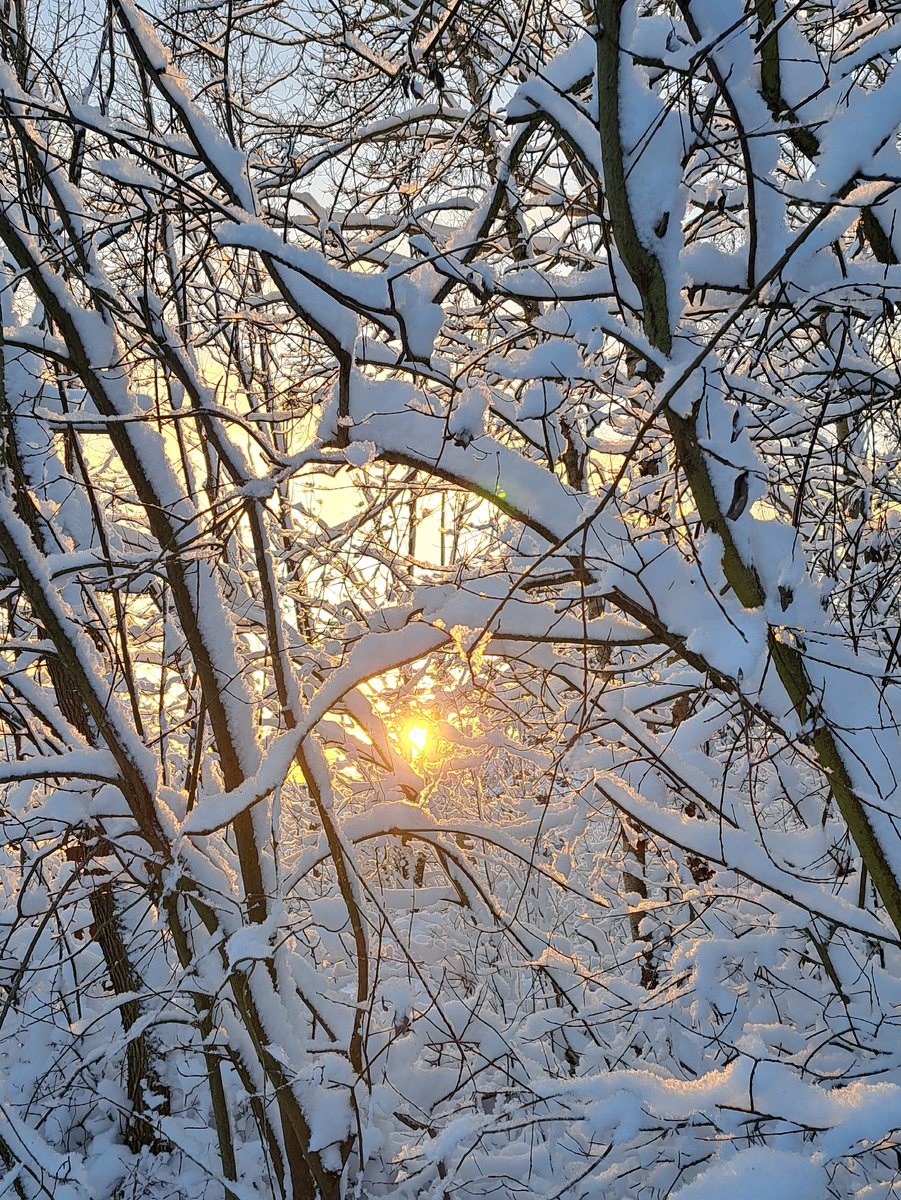 Фото автора. 