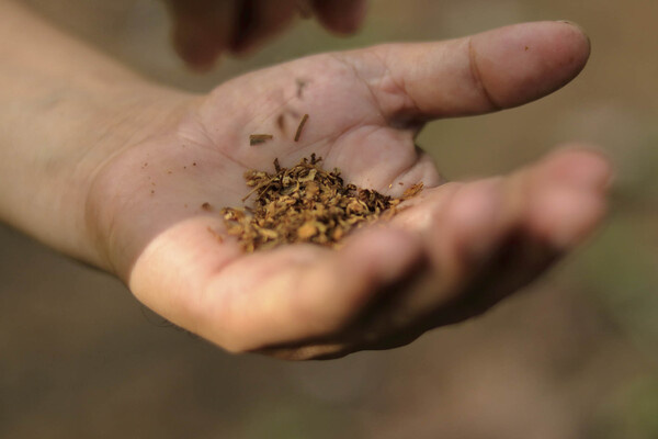 Om_Joshi/Shutterstock/FOTODOM   📷