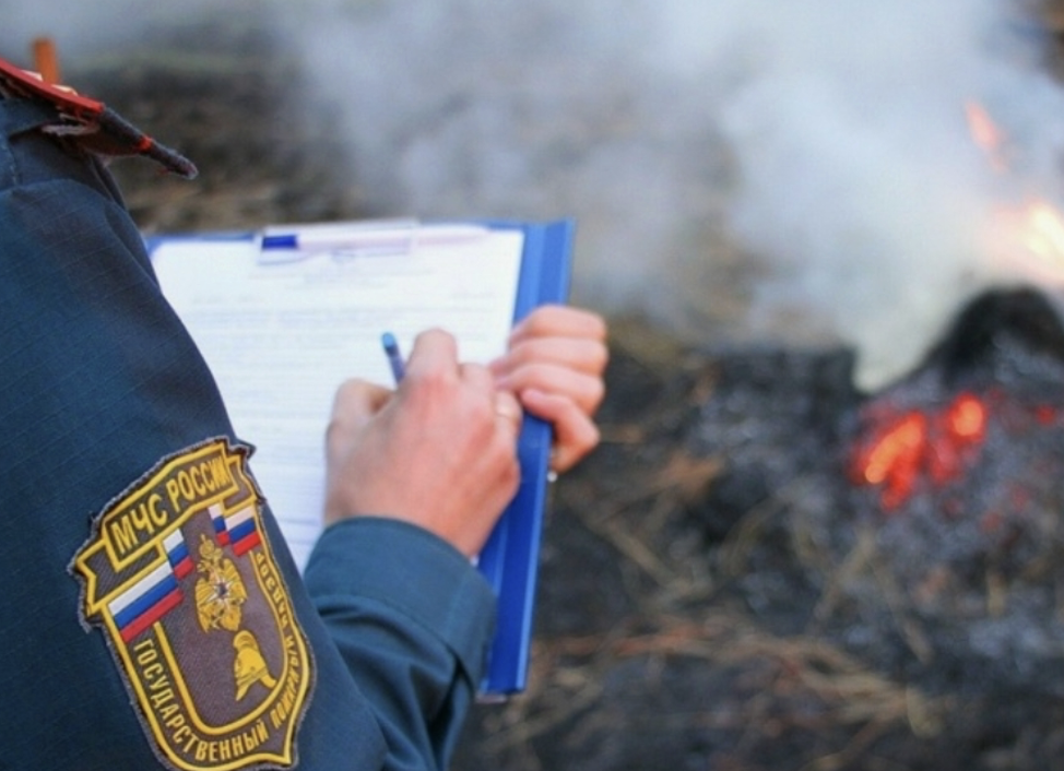 Рис.2. Источник: яндекс.рф.