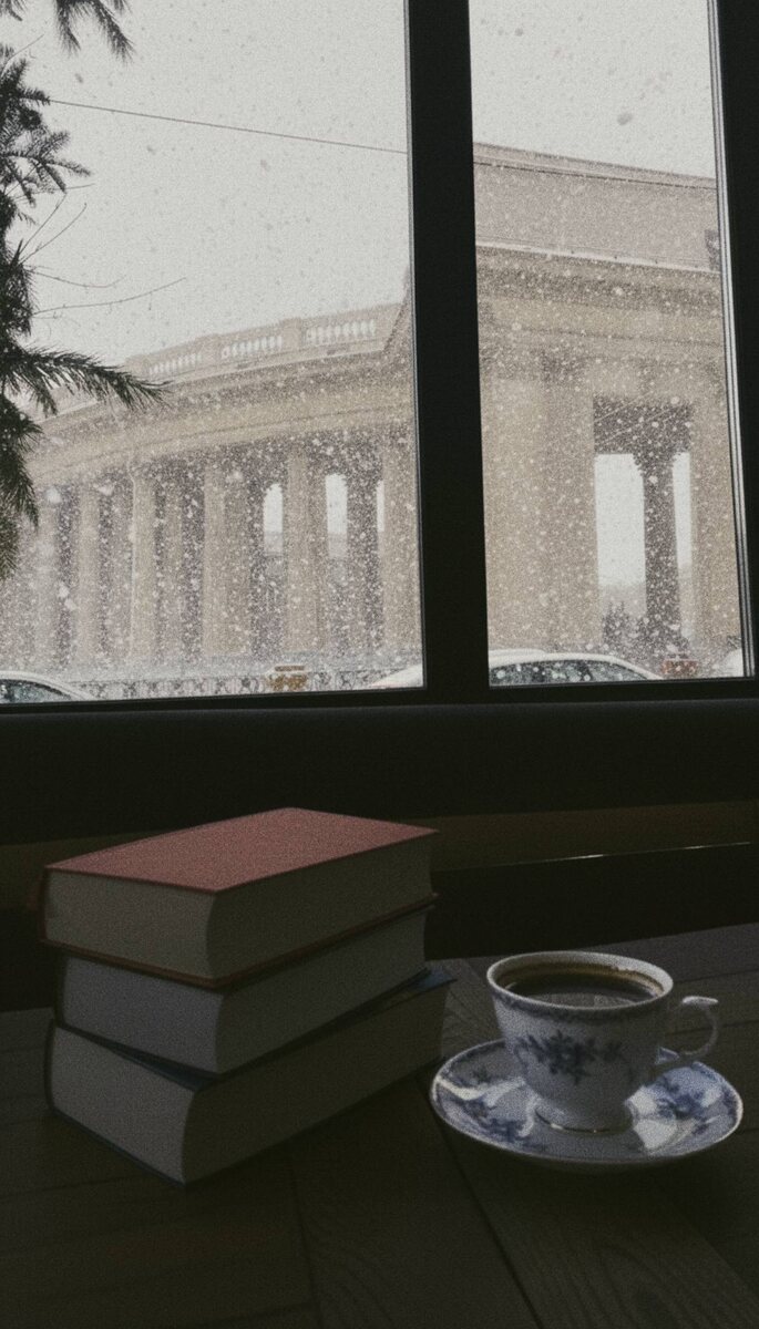 Улисс. Большая шутка. Не упоминающаяся Полка. Вид на Казанский, январь.