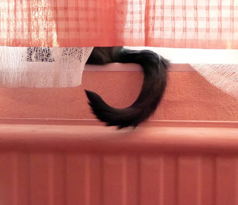    Фото: abn.agency