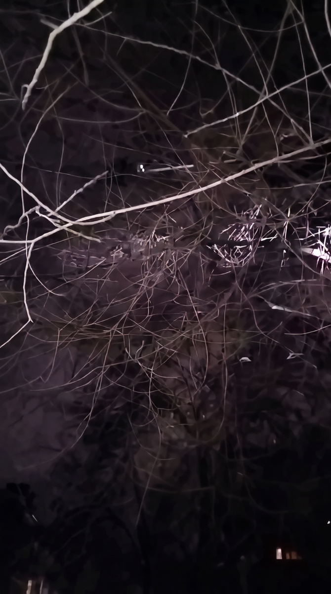 Видно только глазки