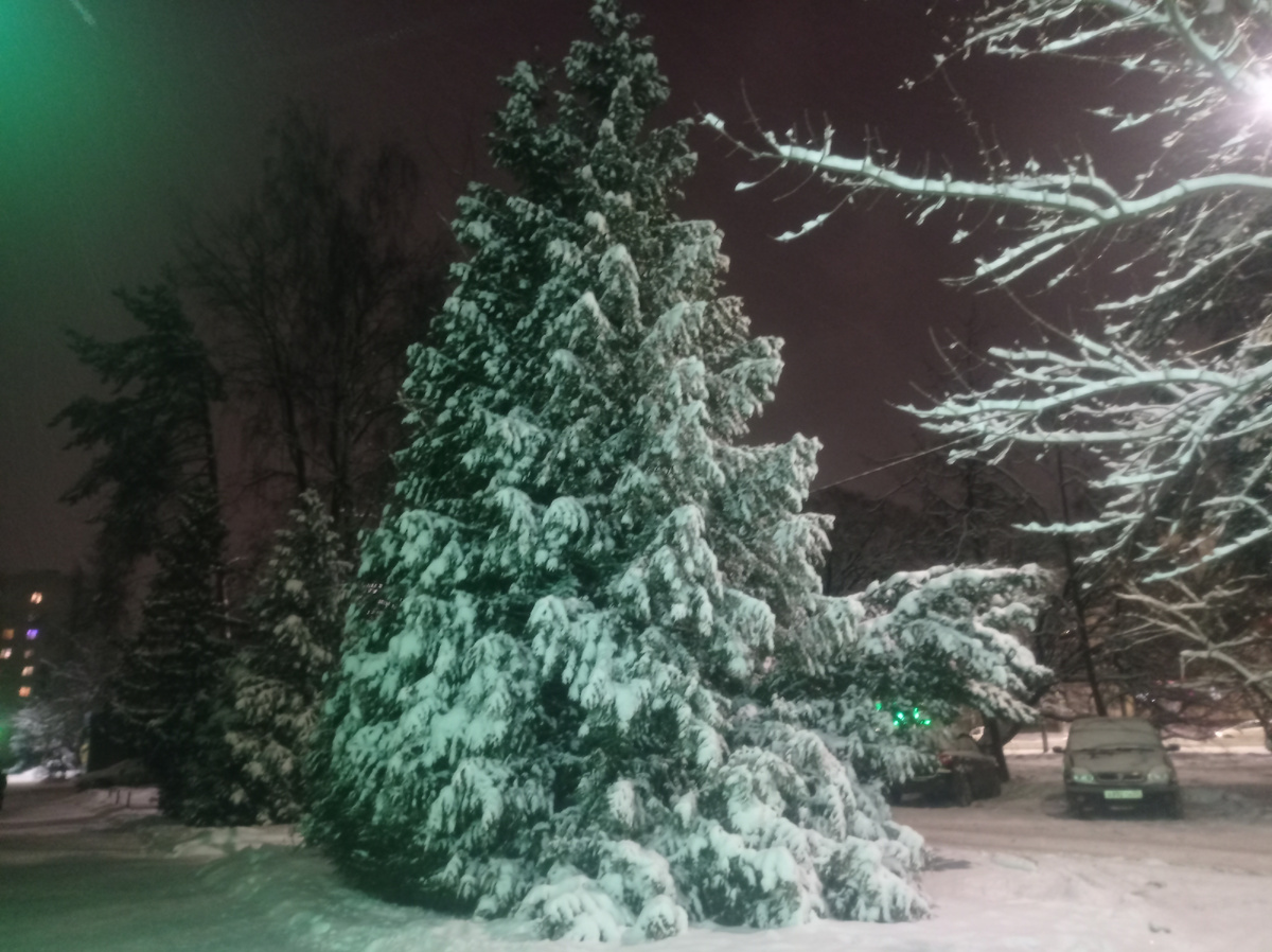 Вот такая красавица елка стоит в городском сквере