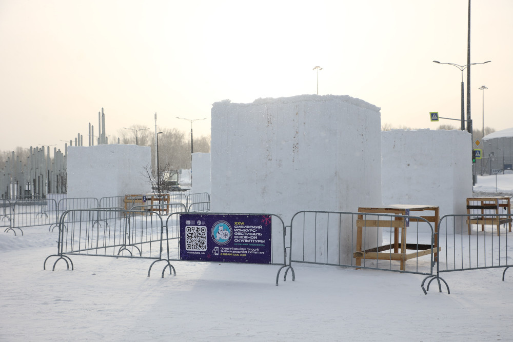    Фото: Ростислав Нетисов, nsknews.info