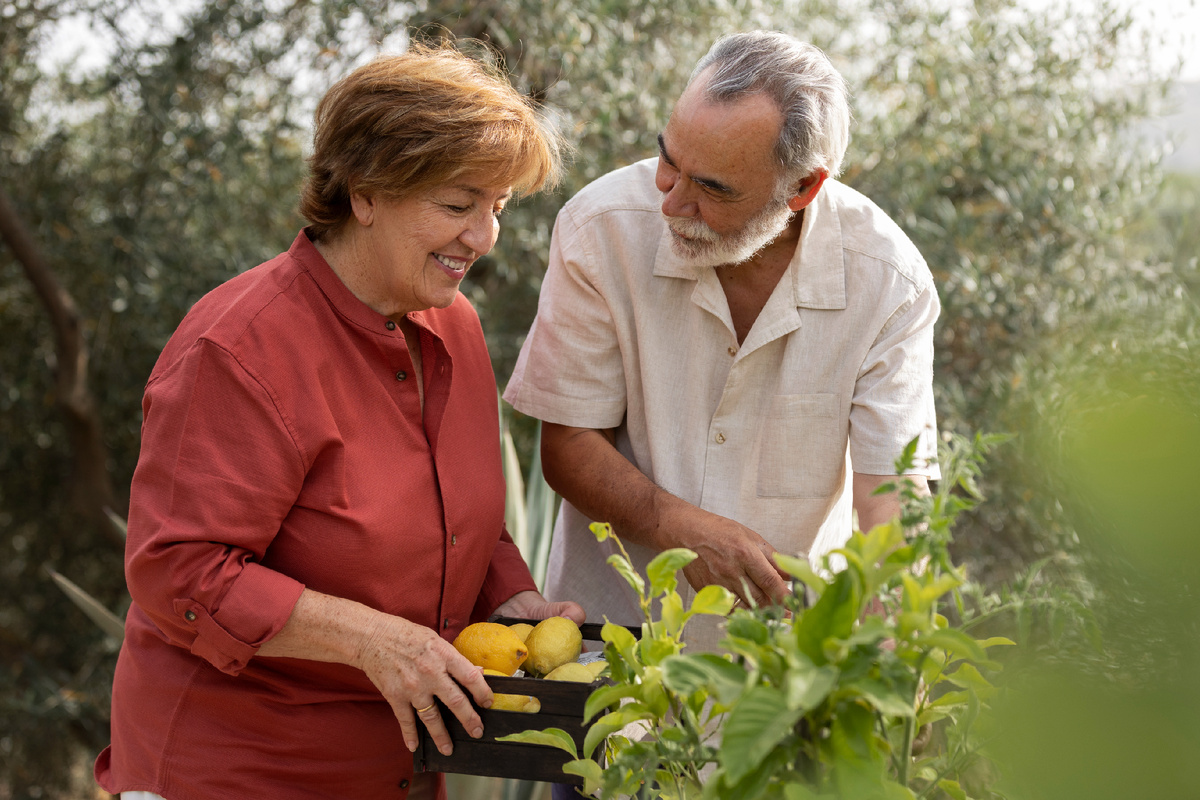 <a href="https://ru.freepik.com/free-photo/elderly-couple-picking-vegetables-from-their-countryside-home-garden_29346907.htm">Изображение от freepik</a>