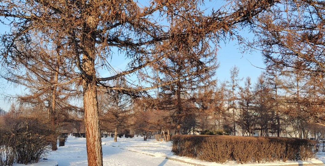 Красноярцев ждёт тёплое Рождество