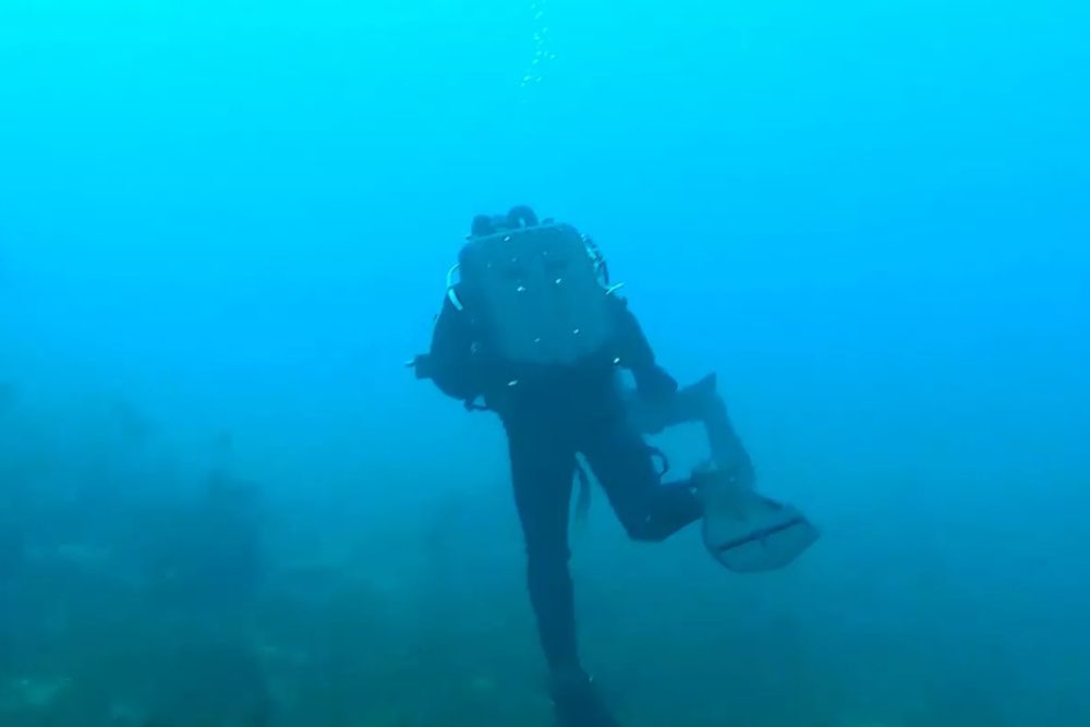    Минобороны РФ