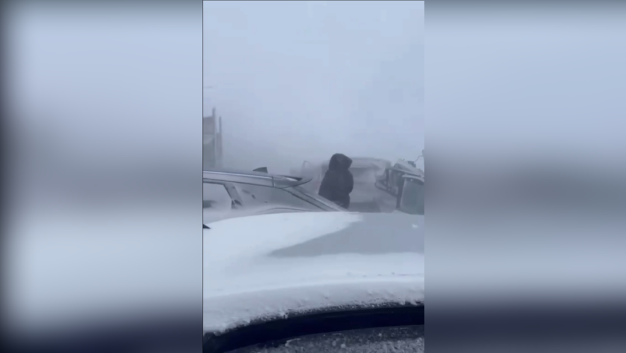    Фото: соцсети