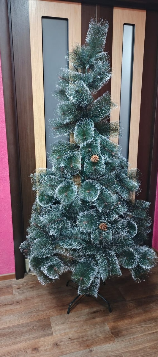 Наша новая красавица ель