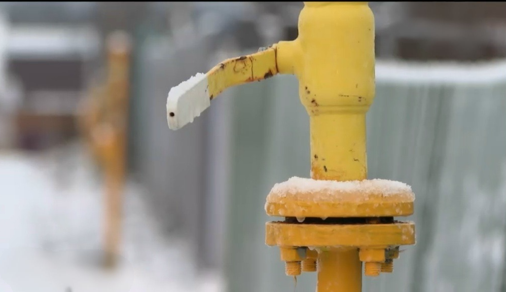    Фото: ГТРК Карелия