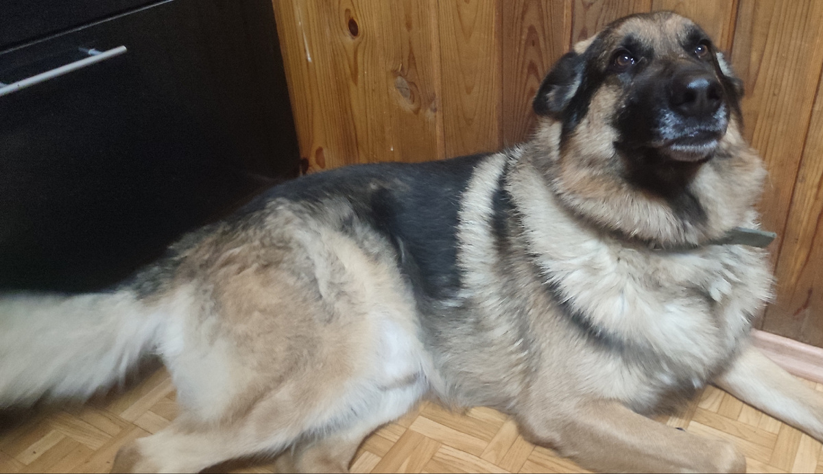 Сильно будешь ругаться !? 