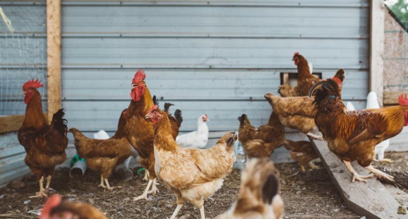    Фото с сайта unsplash.com